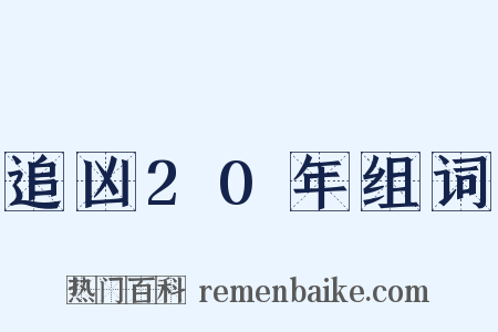追凶20年组词是什么意思的图片